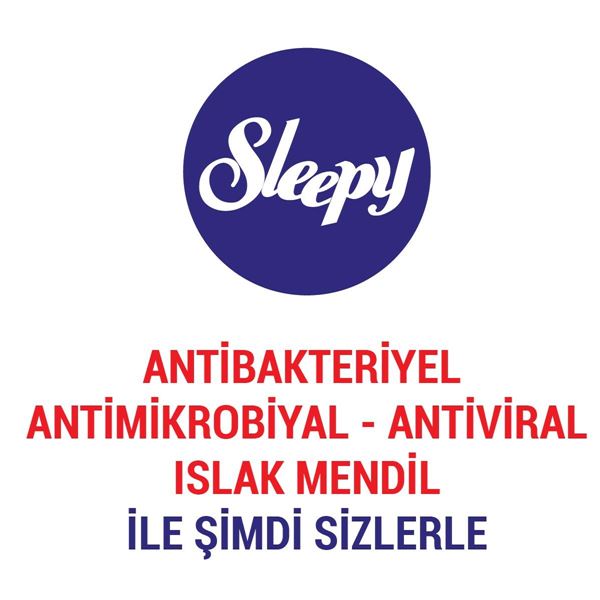 Sleepy Antibakteriyel Islak Havlu 12x50 Gri Paket