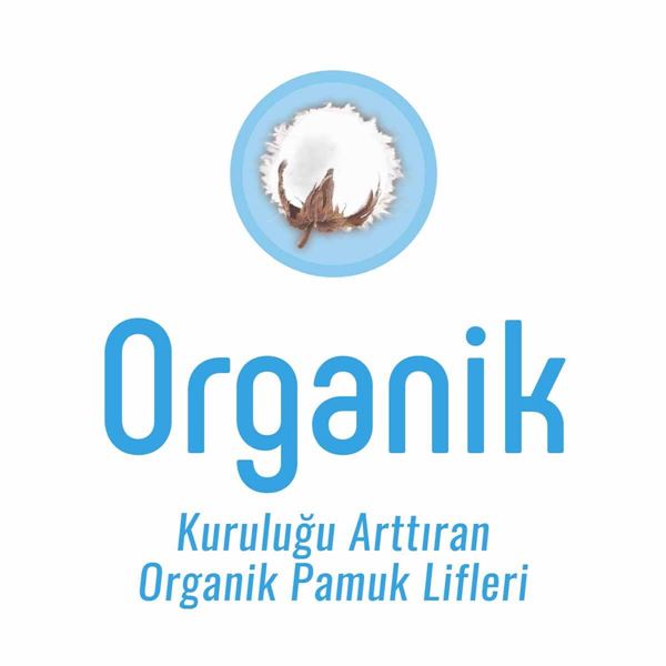Sleepy Natural Günlük Ped Uzun 32 Adet
