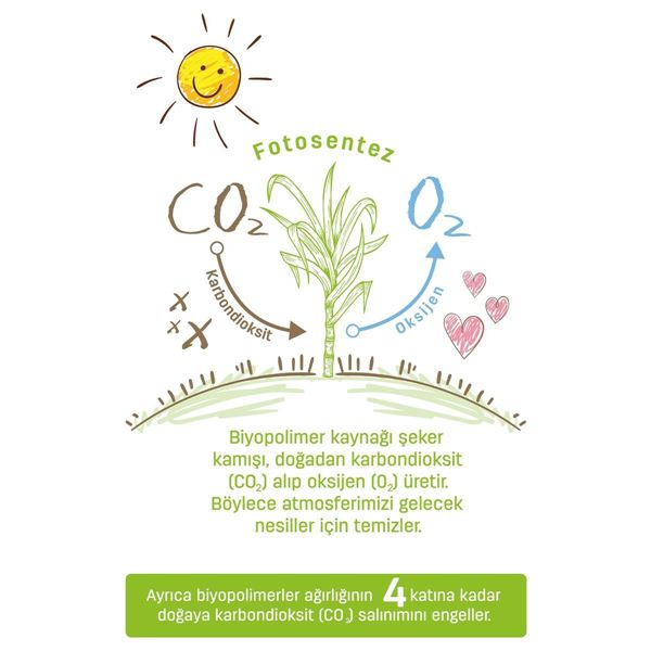 Sleepy Bio Natural Bebek Bezi 2 Numara Mini 204 Adet 