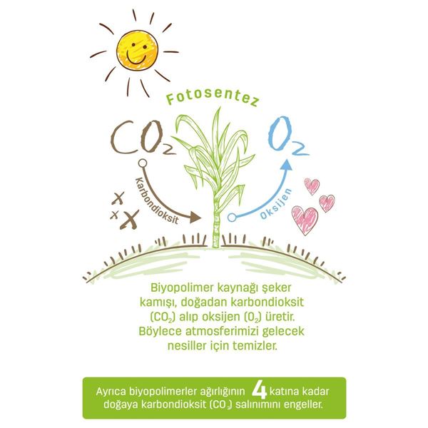 Sleepy Bio Natural Külot Bez 4 Numara Maxi 72 Adet