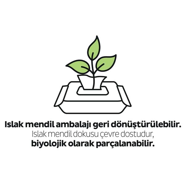 Sleepy Ecologic Yenidoğan Islak Bebek Bakım Havlusu 24x40 (960 Yaprak)