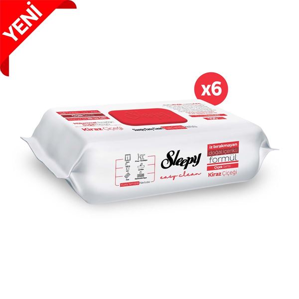 Sleepy Easy Clean Kiraz Çiçeği Yüzey Temizlik Havlusu&Mendili 6x100 (600 Yaprak)