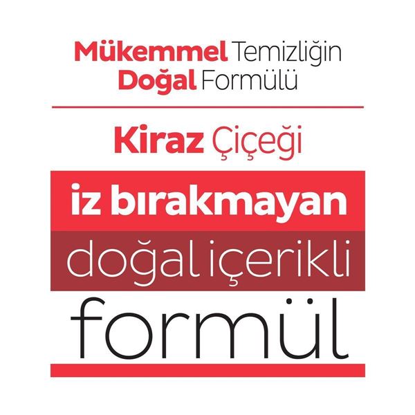 Sleepy Easy Clean Kiraz Çiçeği Yüzey Temizlik Havlusu&Mendili 12x100 (1200 Yaprak)