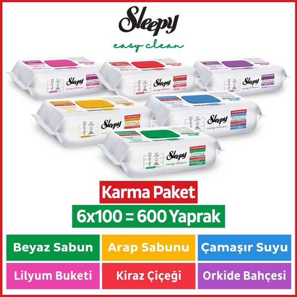 Sleepy Easy Clean Yüzey Temizlik Havlusu & Mendili 6x100 Karma Paket