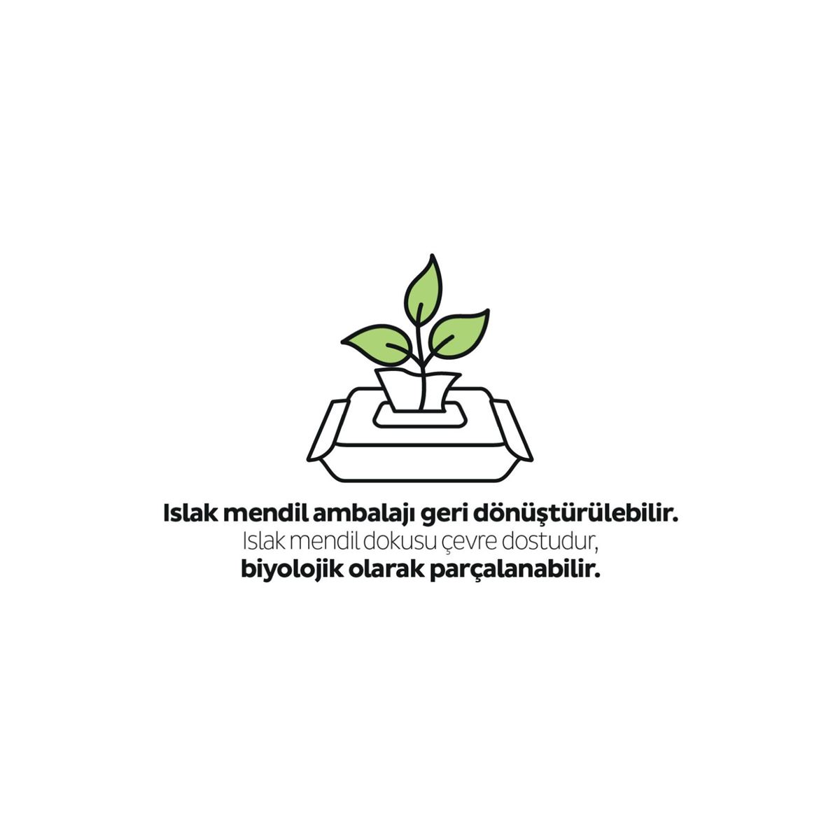 Sleepy Ecologic Yenidoğan Islak Bebek Bakım Havlusu 6x40 (240 Yaprak)
